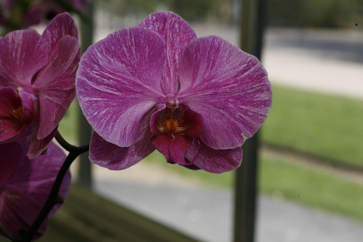 08. 04. 2009
